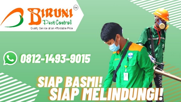 Jasa Pengendalian Hama BANNER 1