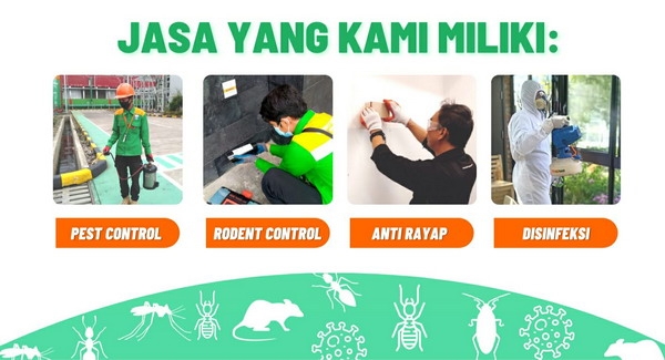 Jasa Pengendalian Hama BANNER 2